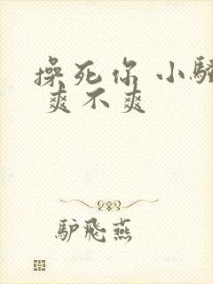 操死你 小骚货 爽不爽