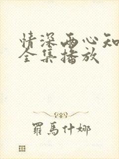 情深两心知短剧全集播放