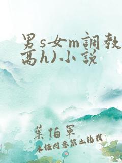 男s女m调教(高h)小说