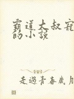 霸道大叔宠甜妻的小说