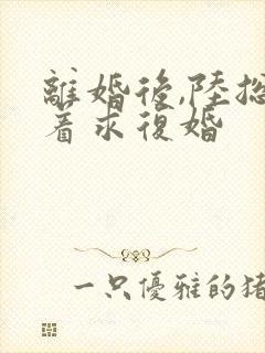 离婚后,陆总哭着求复婚