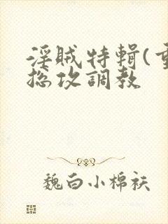 淫贼特辑(重口总攻调教