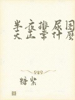 半夜排尿困难白天正常什么原因