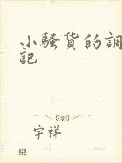 小骚货的调教日记