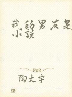 我的男友是杀手小说