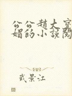公公赵大宝和苏媚的小说阅读