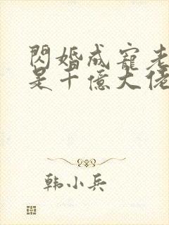 闪婚成宠老公竟是千亿大佬免费阅读