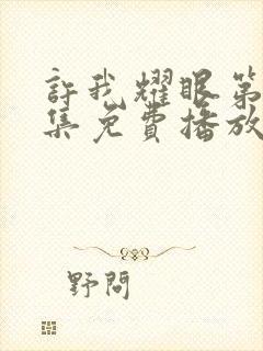 许我耀眼第24集免费播放在线观看