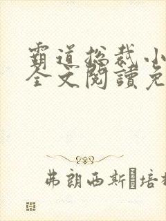 霸道总裁小娇妻全文阅读免费