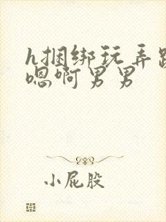 h捆绑玩弄跪趴嗯啊男男