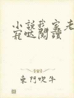 小说我家老公超宠哒阅读