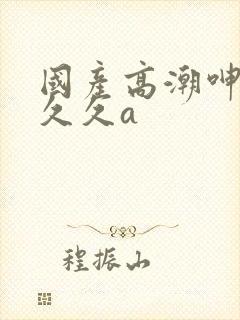 国产高潮呻吟久久久a