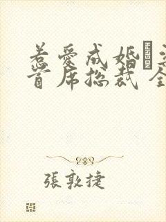 惹爱成婚·染指首席总裁 全文阅读