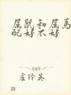 属鼠和属马的婚配好不好