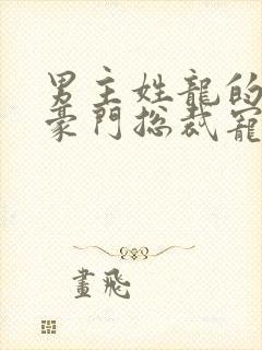 男主姓龙的小说豪门总裁宠文