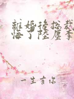 离婚后总裁他后悔了陆尘李清瑶