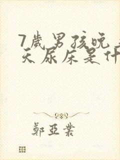 7岁男孩晚上天天尿床是什么原因