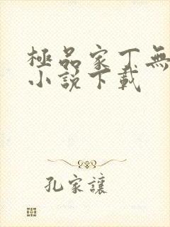 极品家丁无删减小说下载