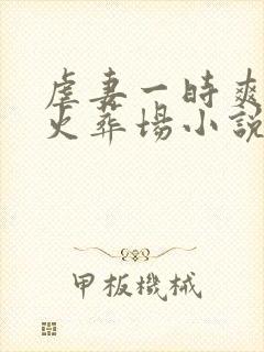 虐妻一时爽追妻火葬场小说免费听书