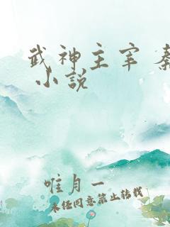 武神主宰 秦尘 小说