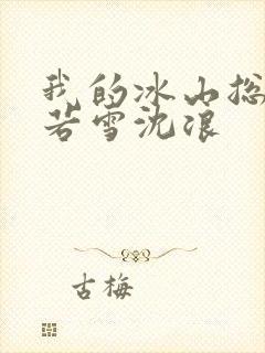 我的冰山总裁苏若雪沈浪
