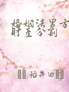 婚姻法男方出轨财产分割