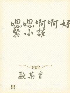 嗯嗯啊啊好爽好紧小说