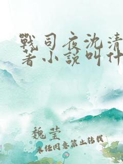 战司夜沈清歌原著小说叫什么