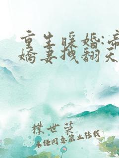 重生暖婚:帝少娇妻拽翻天