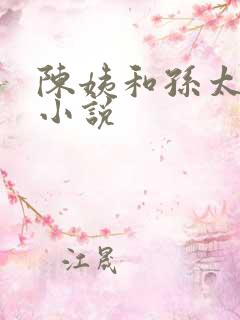 陈姨和孙太太的小说