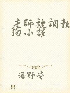 老师被调教成母狗小说