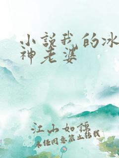 小说我的冰山女神老婆