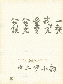 公公爱我一次小说免费完整版阅读