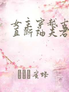 女主穿越古代掰直断袖夫君的小说