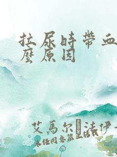 拉尿时带血是什么原因