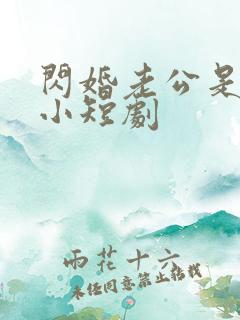 闪婚老公是豪门小短剧