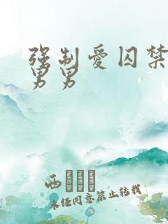 强制爱囚禁调教男男