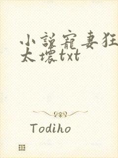 小说宠妻狂魔别太坏txt