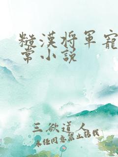 糙汉将军宠妻日常小说