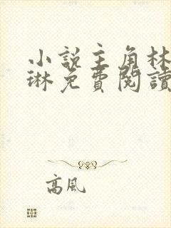 小说主角林清何琳免费阅读