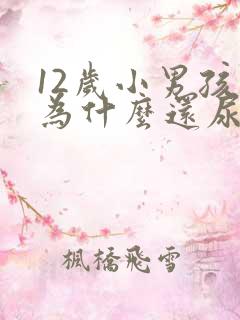 12岁小男孩儿为什么还尿床