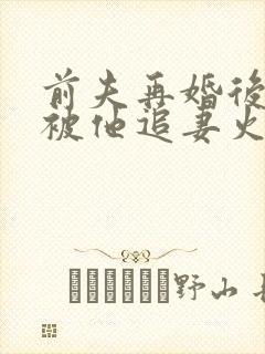 前夫再婚后,我被他追妻火葬场了