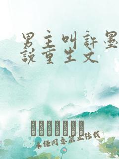 男主叫许墨的小说重生文