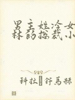 男主姓冷女主姓林的总裁小说