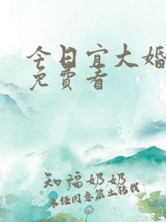 今日宜大婚短剧免费看