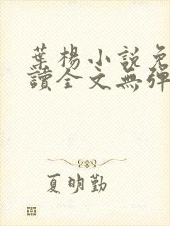 叶杨小说免费阅读全文无弹窗