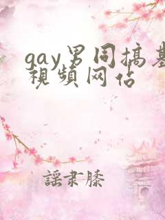 gay男同搞基视频网站