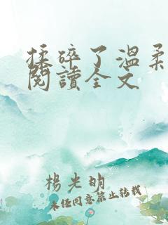 揉碎了温柔小说阅读全文