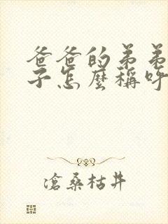 爸爸的弟弟的孩子怎么称呼