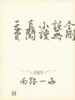 天真小说全文免费阅读无删减